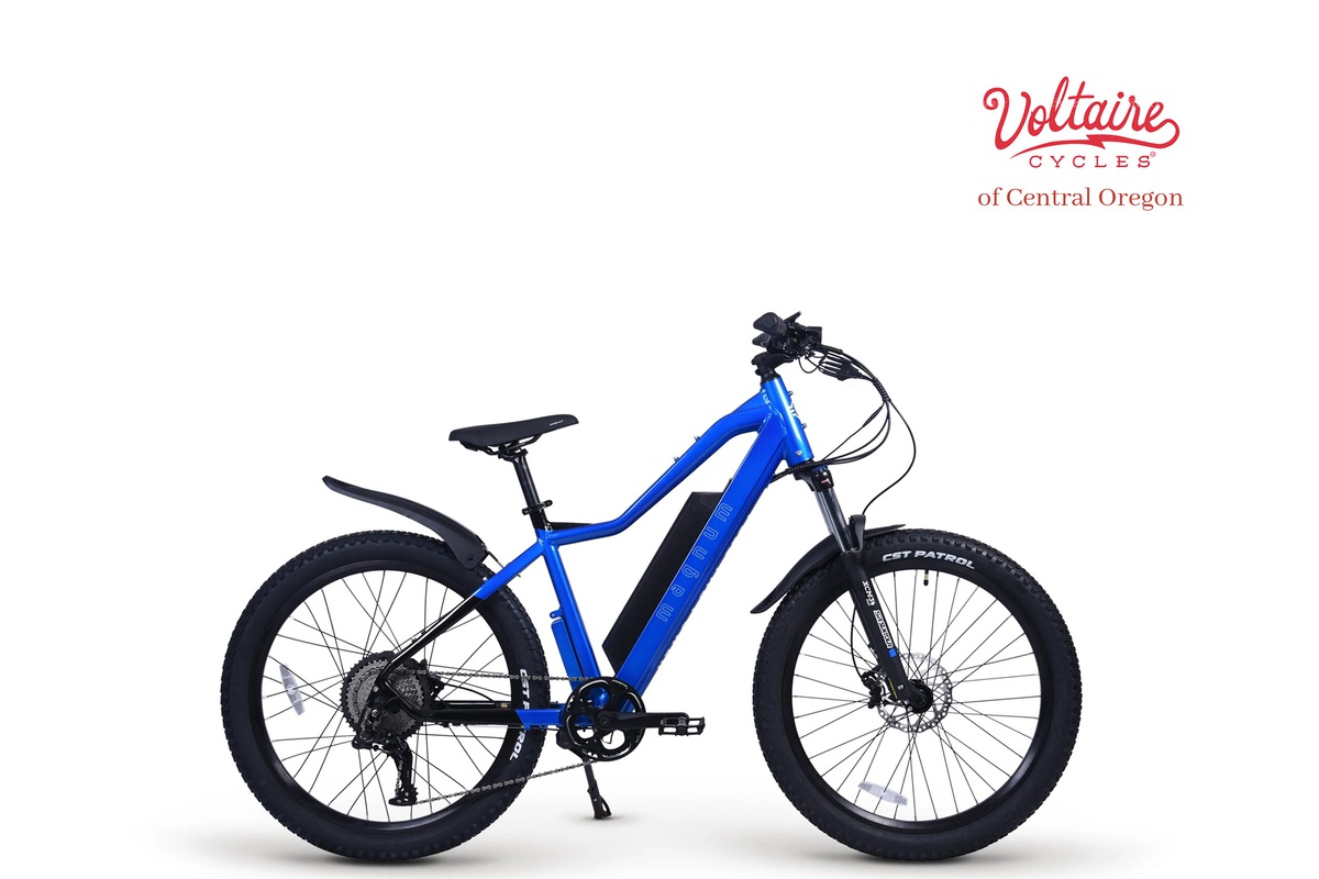 Voltaire Cycles